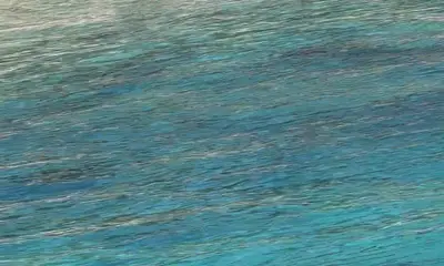 Phenomenal experience. 