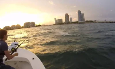 Miami Report Video 0