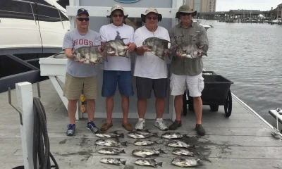 Virginia Beach Report Video 0