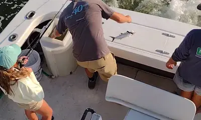 Wanchese Report Video 0