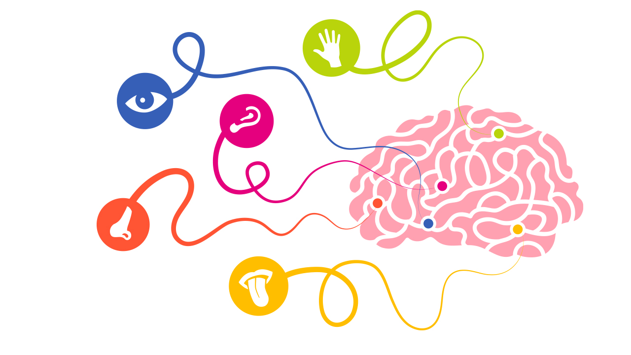 Chiropractic Affects Your Brain