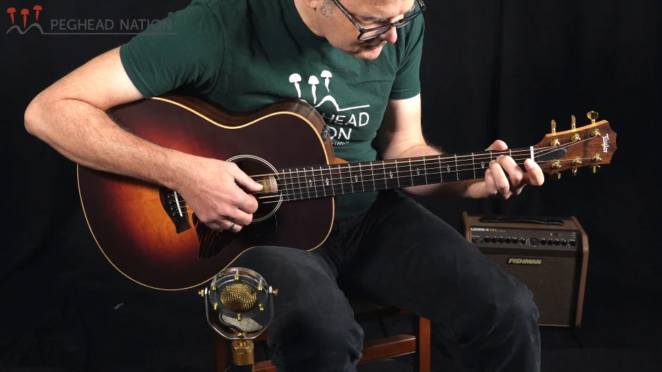 Taylor gs mini Fishman matrix powertap付き Taylor gs mini Fishman