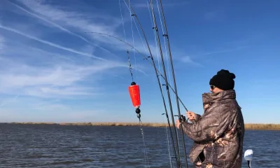New Orleans Report Video 0