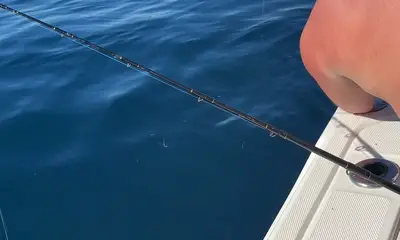 Belleair Bluffs Report Video 0