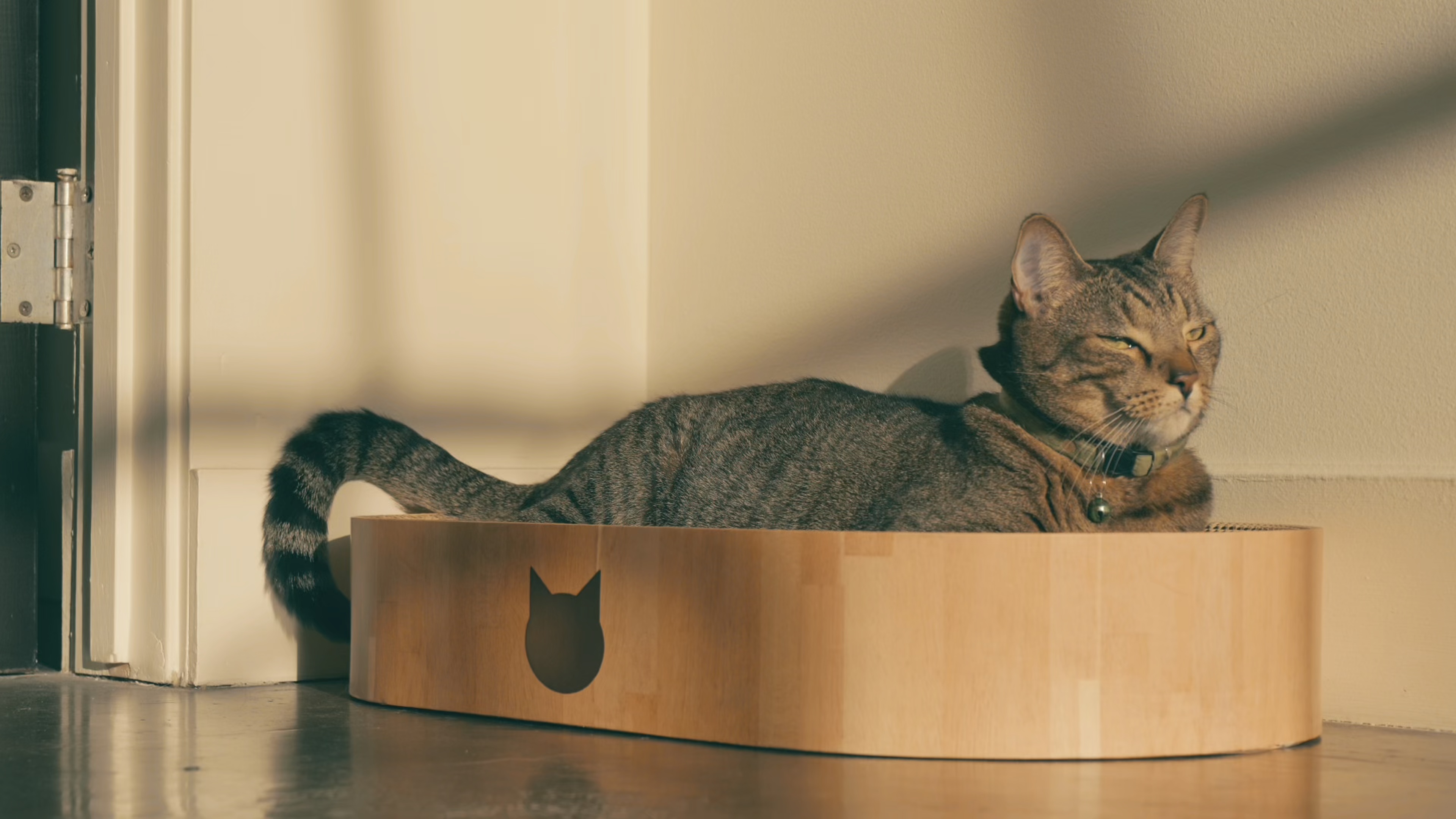 NECOICHI Cozy Bowl Capsule Cat Scratcher Toy, Dark Cherry - Chewy.com