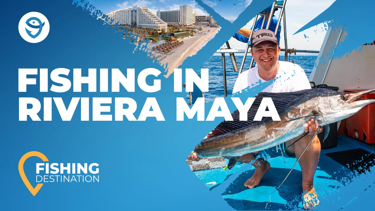 Fishing in RIVIERA MAYA: The Complete Guide