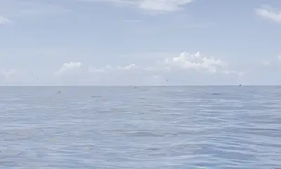 Capt. Randy was great