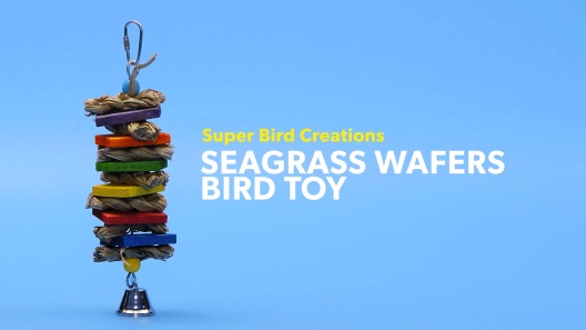 Play Video: Learn More About Super Bird Creations From Our Team of Experts