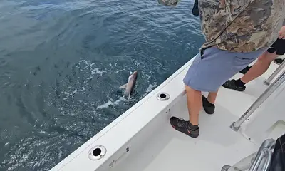 Capt. Chadwick