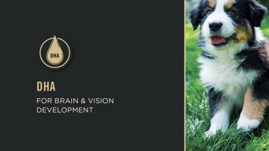 Purina Pro Plan Development Puppy Chicken & Rice Entree Canned Dog Food