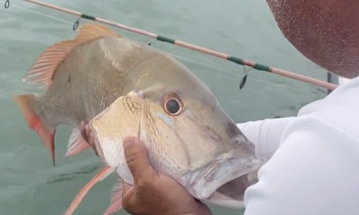Fajardo Report Video 0