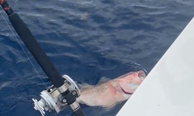 Exhausted from hauling in fish