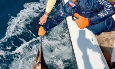 Playa Flamingo Report Video 0