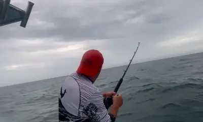 San Jose del Cabo Report Video 1