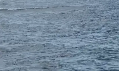 Fishing with \uf8ff Gers\u00f3n