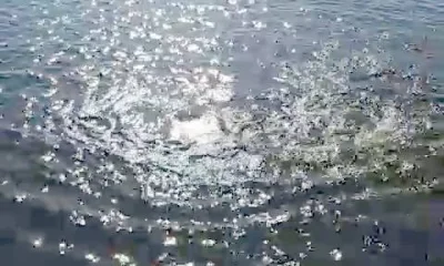 Port Sulphur Report Video 0