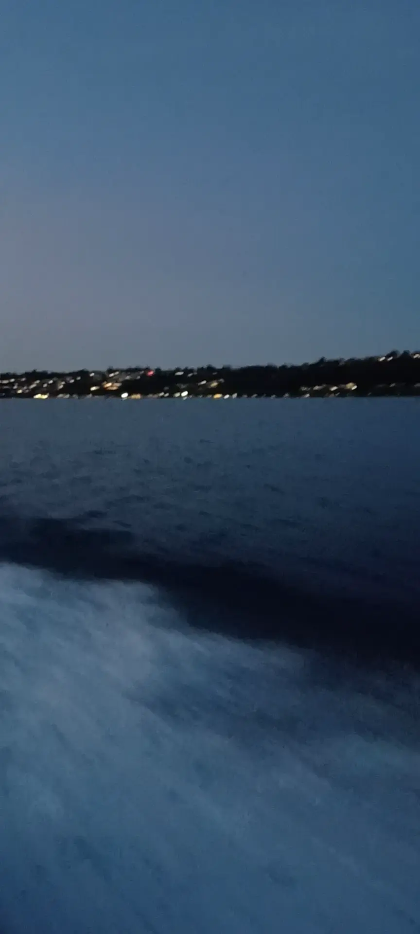 Business Card: Renegade Fishing Charters