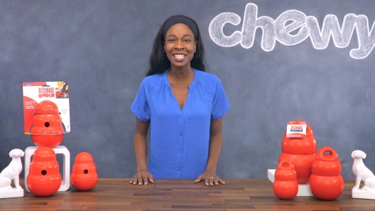 Chewy Delivers Kong Wobbler Fun #ChewyInfluencer - Golden Daily Scoop