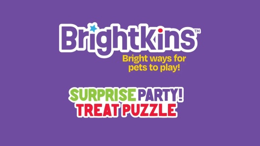 Brightkins Surprise Party Puzzle Treat Dog Toy Dispenser : Target