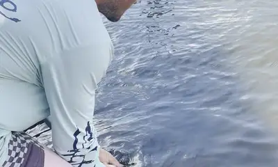 Key Largo Report Video 2
