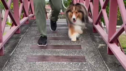 RIFRUF Commuter Dog Leash