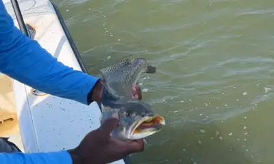 Fishing with Brad