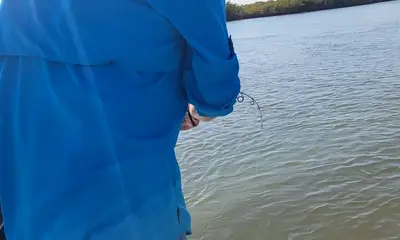 Port Orange Report Video 1