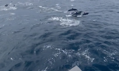 Herradura Report Video 0