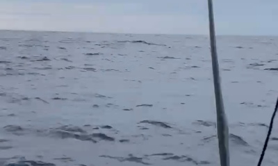 Amazing crew and a great boat!