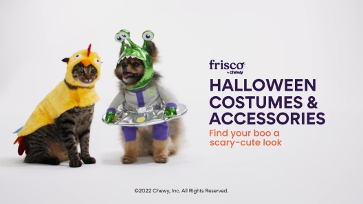 Frisco Front Walking Cheerleader Dog & Cat Costume