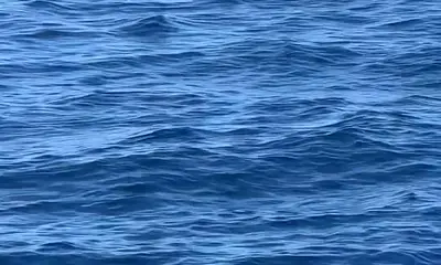 San Jose del Cabo Report Video 1