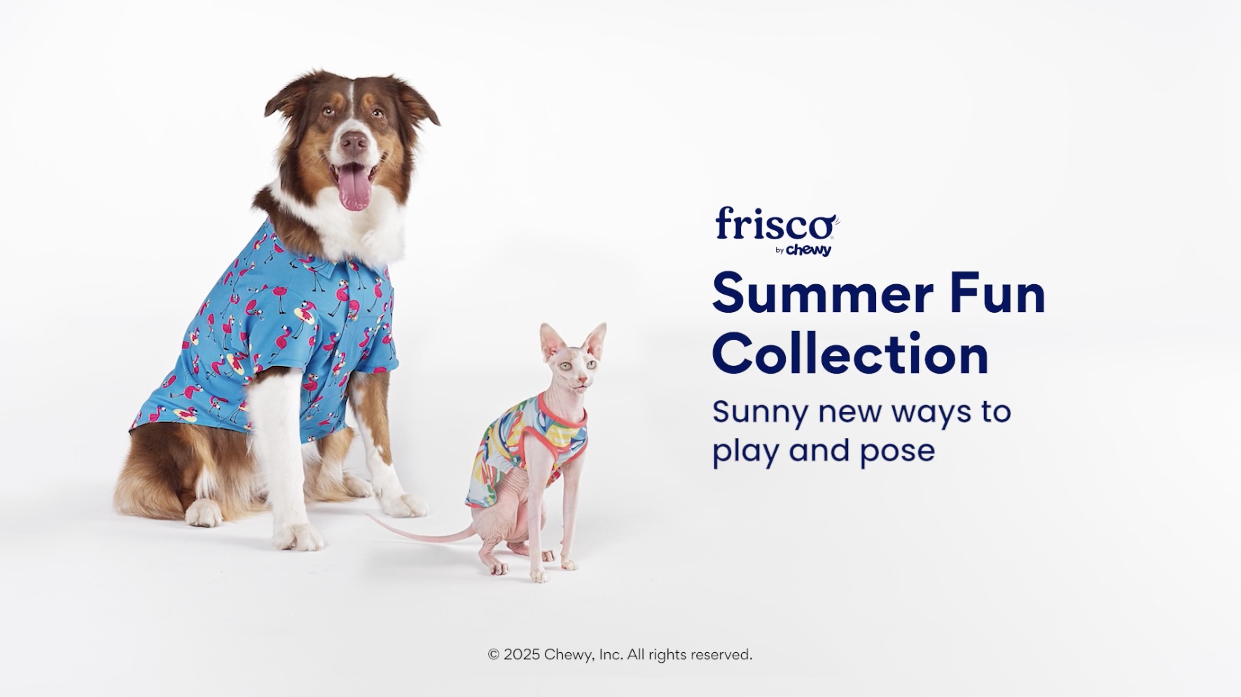 捨七　summer holiday PET summer pet harness - rainbow | Five Below