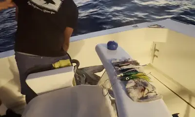 Fantastic afternoon trip on Wahoo