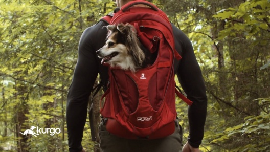 Kurgo G-Train Dog Carrier Backpack, Red