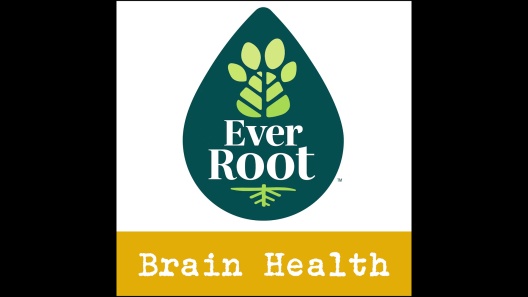 Play Video: Learn More About EverRoot From Our Team of Experts