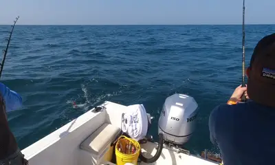 Panama City Report Video 2