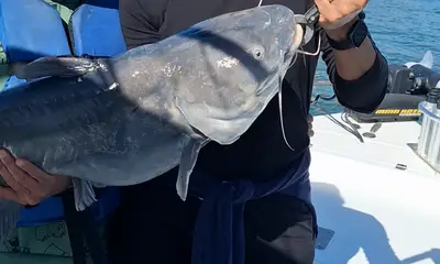 San Antonio Report Video 0