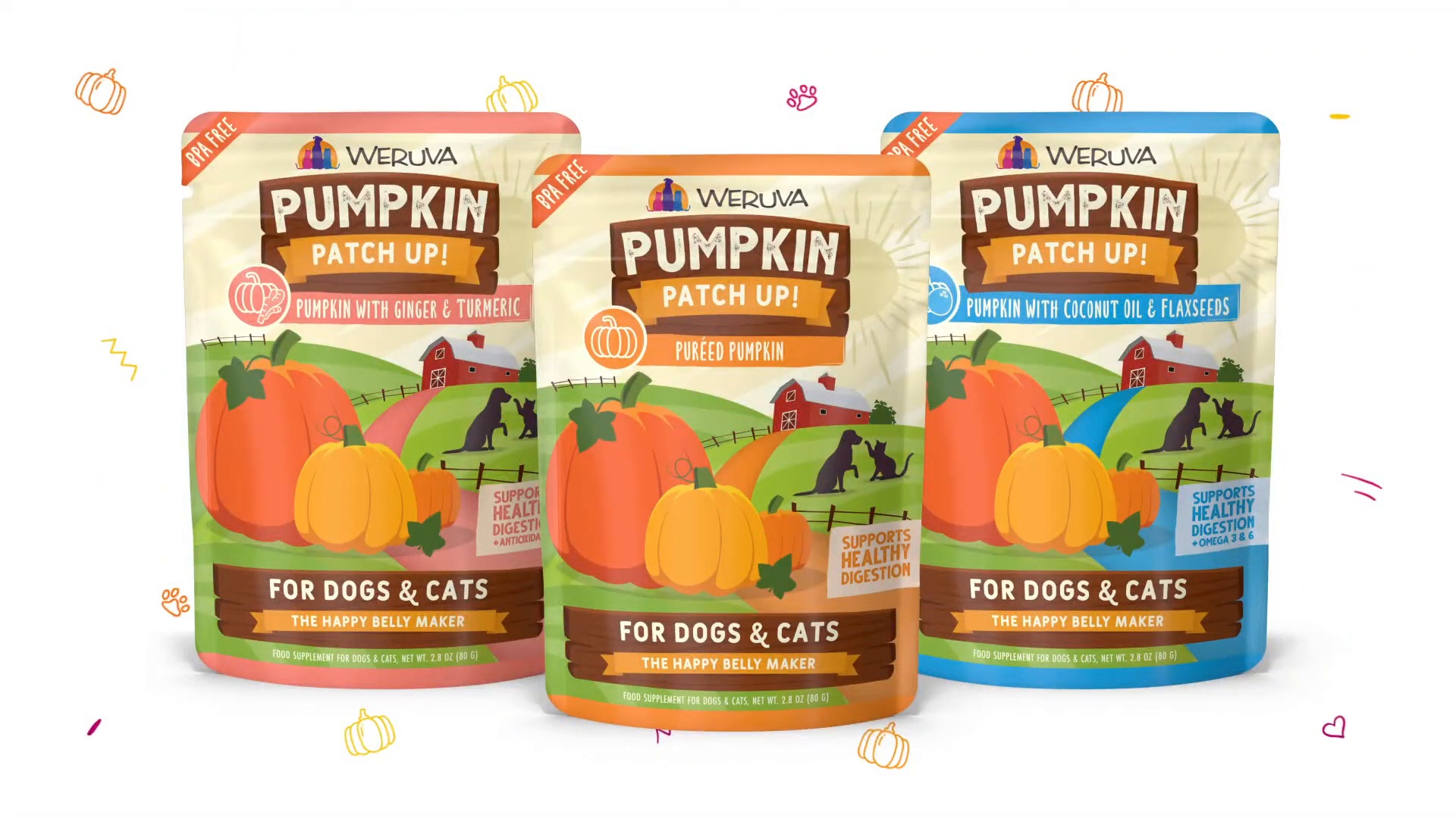 Pumpkin patch up for dogs hot sale and cats