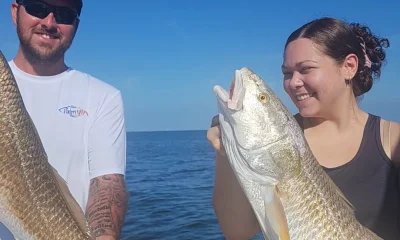 Ruskin Report Video 0