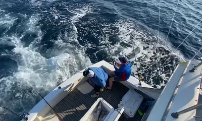 Pompano Beach Report Video 0