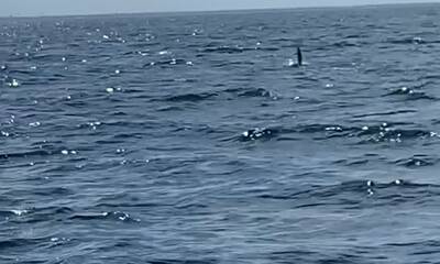 Jacksonville Report Video 2