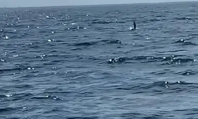 Jacksonville Report Video 0
