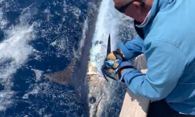 Calheta Report Video 1
