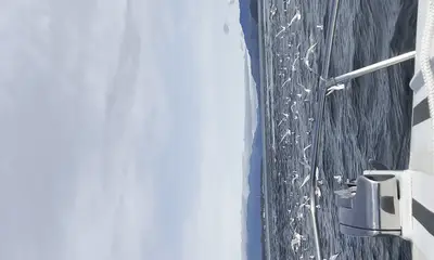 Coho frenzy