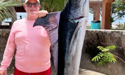 San Jose del Cabo Report Video 0