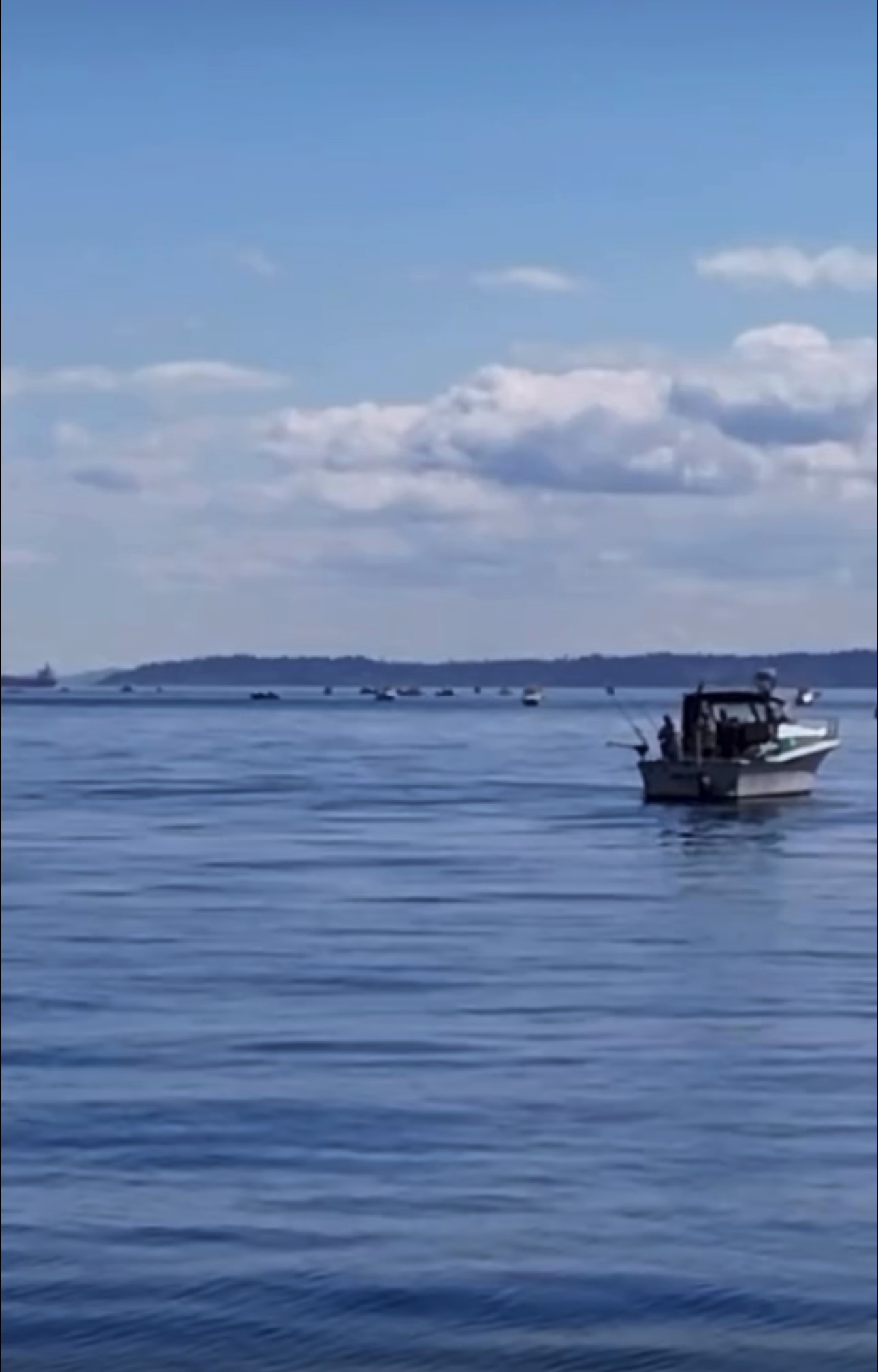 Business Card: Pugetsound Sportsfishing