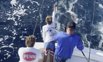 Sailfish 