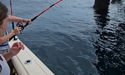 St. Simons Island Verslag Video 1