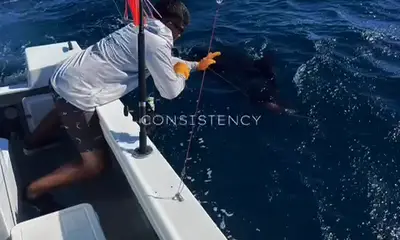 Playa Flamingo Report Video 0