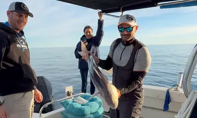 Budva Report Video 0